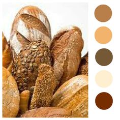 an image of breads with different colors