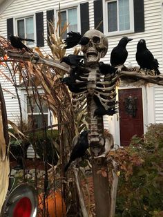 a skeleton statue with crows on it in front of a house