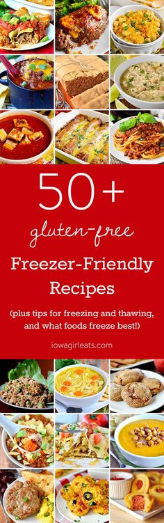 50 + gluten free freeze - friendly recipes