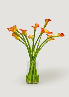 a vase filled with yellow and orange flowers