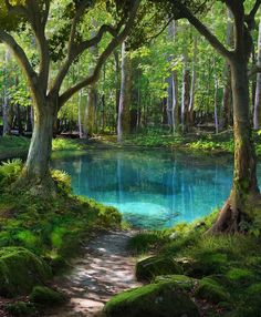 a painting of a path leading to a blue pond surrounded by trees and mossy rocks