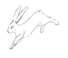 a drawing of a rabbit flying through the air with it's front legs spread out