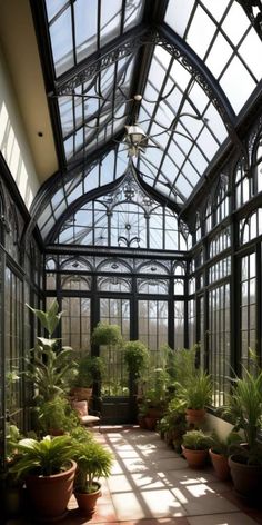 the inside of a greenhouse with lots of potted plants and large windows on both sides