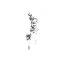 a black and white photo of a flower with water drops hanging from it's petals