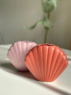 two pink scallop shells sitting on a table next to a flower vase with a rose in the background