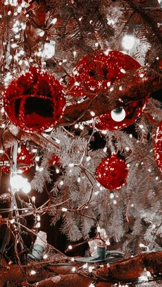 red ornaments are hanging from the branches of a christmas tree with lights on them and snow flakes in the background