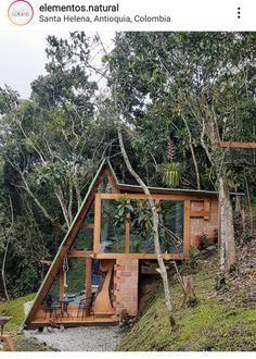 an image of a small house in the woods with trees and plants on top of it