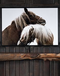 two horses standing next to each other in front of a wooden wall with a black frame