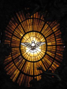 a stained glass window with a dove on it's side and the light shining through