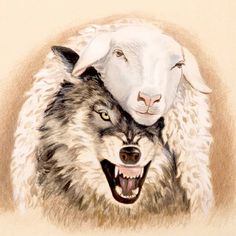 a drawing of two sheep and a wolf with their heads close to each other's faces