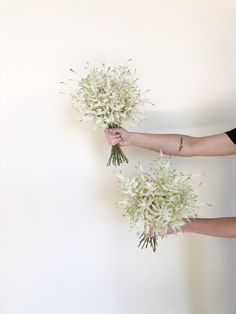 two hands holding flowers against a white wall