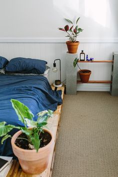 a bed sitting in a bedroom next to a plant on top of a wooden table