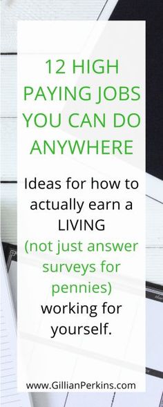 the words, 12 high paying jobs you can do anywhere ideas for how to actually earn a living not just answers for working for yourself