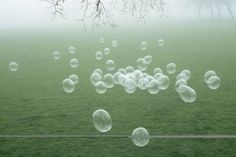 some bubbles floating in the air on a foggy day