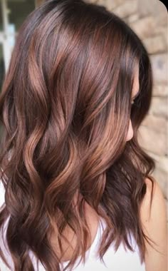 Spring Hair Color Ideas For Brunettes Straight, Soft Red Highlights In Brown Hair, Winter Auburn Balayage, Praline Hair Color, Cinnamon Highlights On Light Brown Hair, Cinnamon Color Highlights, Chocolate Brown With Cinnamon Highlights, Cinammon Hair Colour, Autum Hair Colours