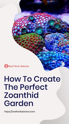 a book cover with the title how to create the perfect zoantid garden