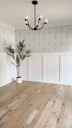 an empty room with white paneling and a potted plant on the floor in front of it