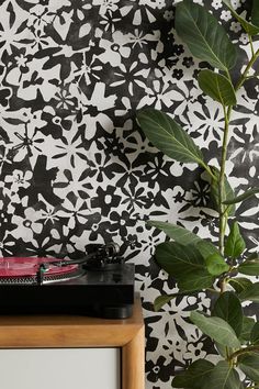 a black and white patterned wallpaper with a plant in the corner next to it