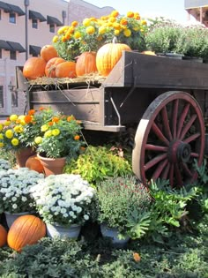 a wagon filled with lots of flowers and pumpkins