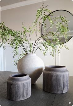 two vases sitting on top of a wooden table next to a mirror and plant