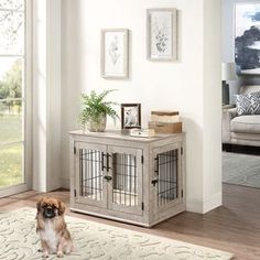 a dog sitting on the floor in front of a living room with white walls and wooden floors