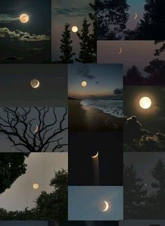 many different images of the moon and trees