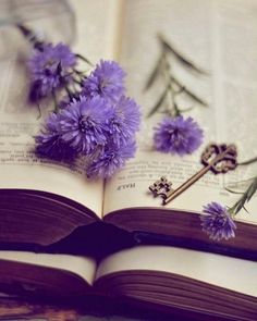 an open book with purple flowers on it and a key laying on top of it