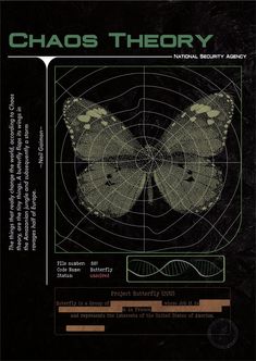 the back cover of chaos theory, with an image of a butterfly on it's wings