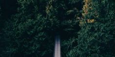 an aerial view of a road surrounded by trees in the middle of the forest, taken from above