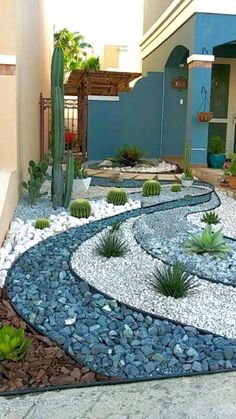 an outdoor garden with rocks and plants