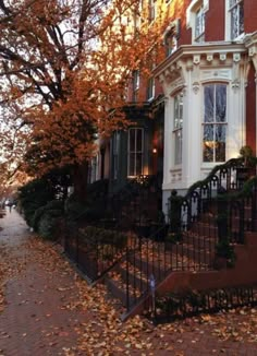 a row of houses with autumn leaves on the ground