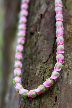 a pink and green necklace hanging from a tree