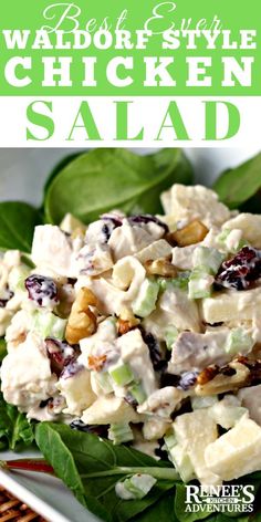 chicken salad with cranberries and walnuts in a white bowl on top of spinach leaves