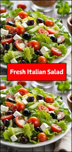 fresh italian salad with tomatoes, olives and lettuce on a white plate