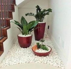 three potted plants sitting on top of a white floor next to a stair case