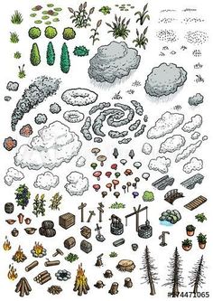 an illustrated drawing of different types of plants and trees in the air, with clouds above them