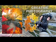 a person holding a camera and taking pictures on a bridge with autumn leaves in the foreground