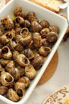 there are many snails that are in the bowl