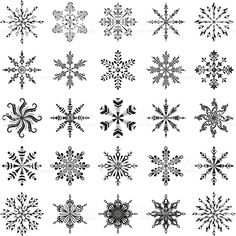 snowflakes in black and white on a white background - stock photo - images