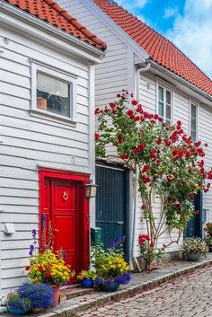 red door on white house with flowers in front