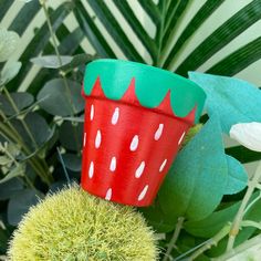 a red and green plant with white dots on it