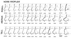 an image of nose shapes and how to draw them in different ways on the page