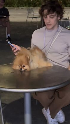 a person sitting at a table with a small dog on it's lap and holding a cell phone in their hand