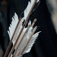 some white feathers and wooden sticks on a table