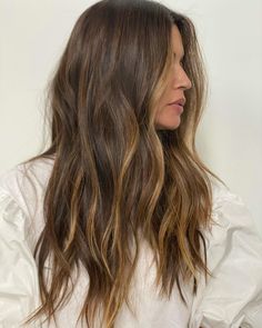 Johnny Ramirez (@johnnyramirez) • Instagram photos and videos Light Brown Partial Balayage, Mini Partial Highlights, Classic Brunette Hair, Balayage For Medium Brown Hair, Soft Balayage Brunette, Highlights On Medium Brown Hair, Soft Autumn Hair Color, Subtle Brunette Balayage, Fall Brunette Hair