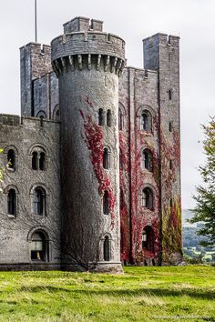 an old stone castle with many windows and ivy growing on it's sides, surrounded by green grass