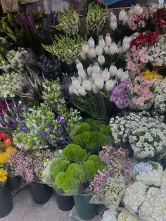 a bunch of flowers that are sitting on the ground