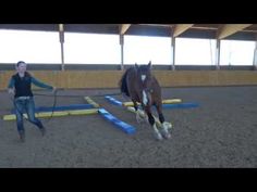 a woman is leading a horse around an obstacle course in the middle of a gym