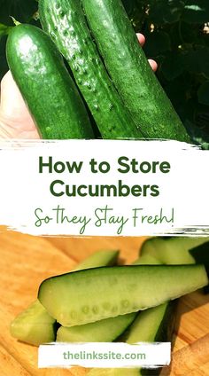 how to store cucumbers so they stay fresh