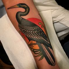 a bird with a long beak sitting on top of a person's arm,